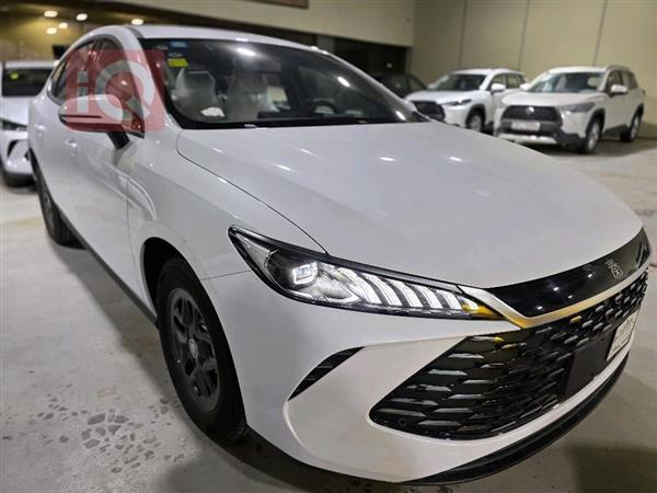 بي واي دي Qin Plus 2025 للبيع في العراق -  بغداد